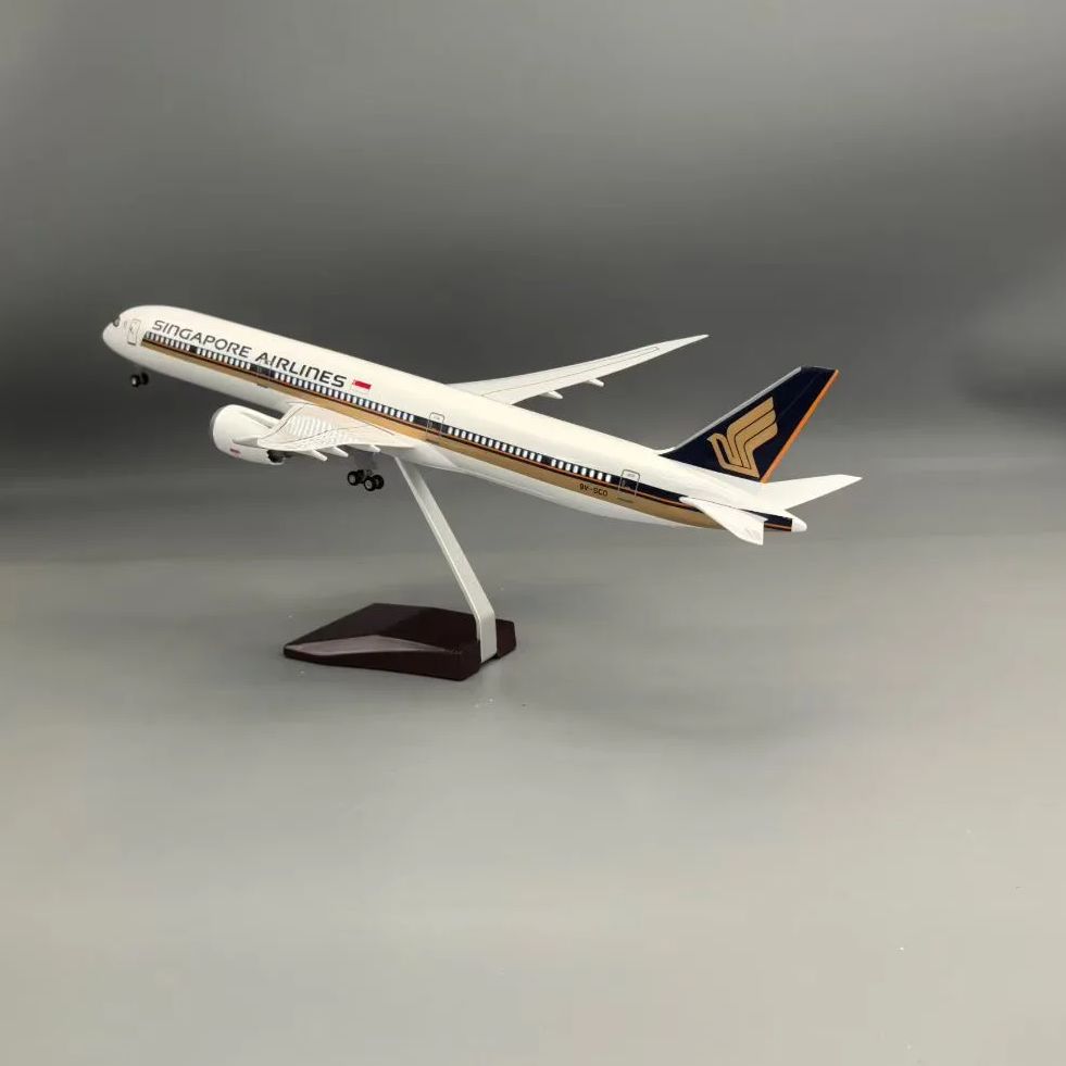 Model Airplanes Resin Aviation - Model Kit Singapore 评论和价格