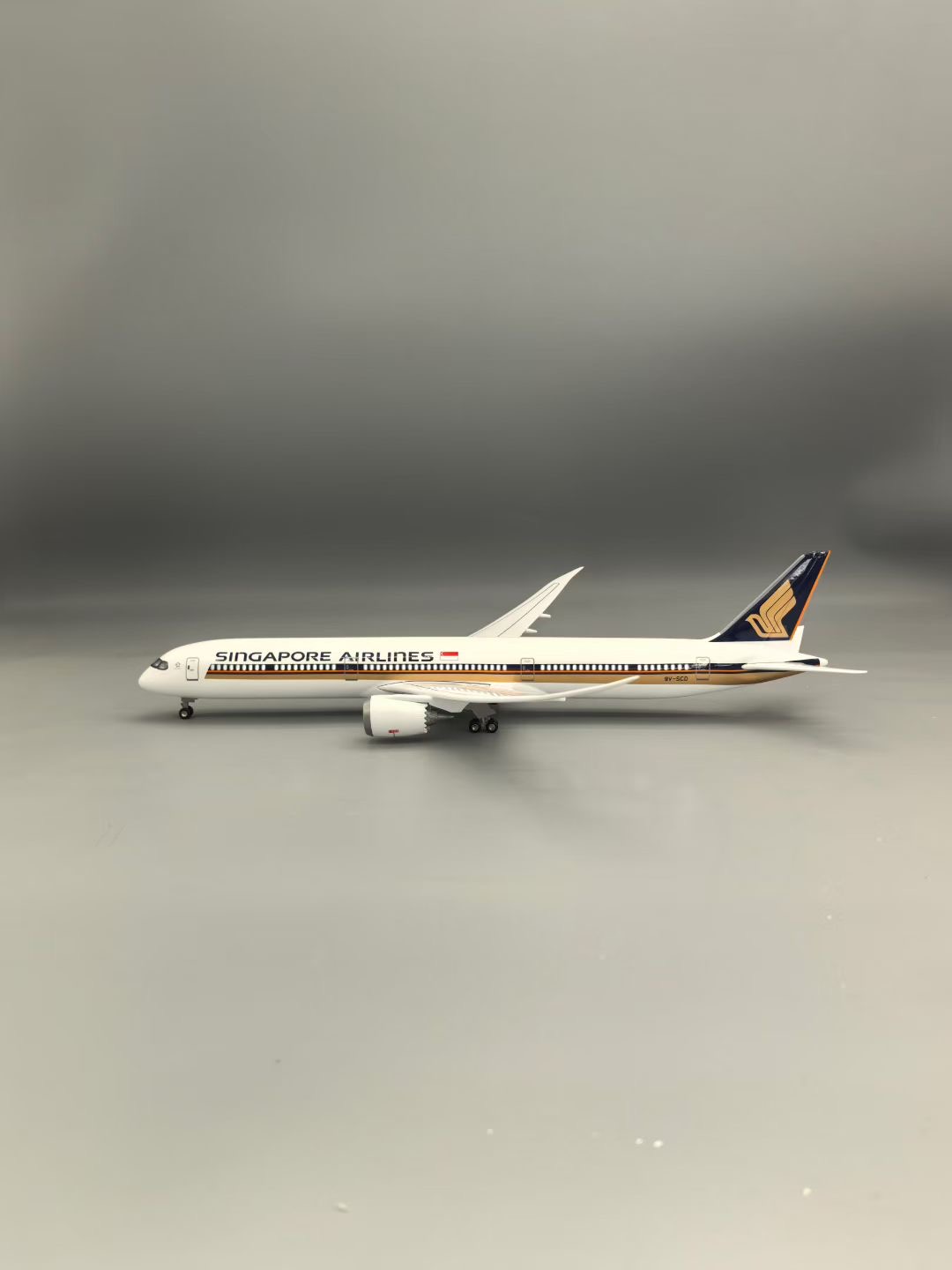 1:130 Scale Aircraft 43cm B787 - Model Kit Singapore 评论和价格