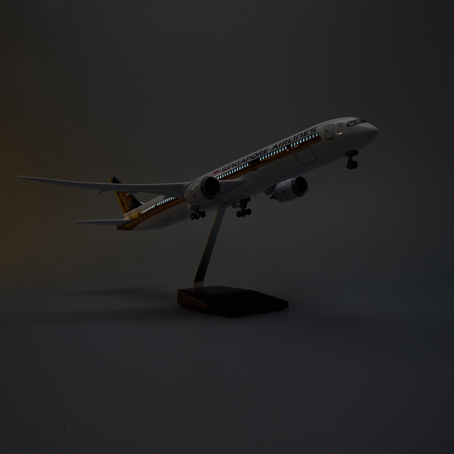 47cm Large Scale Singapore Air - Model Kit Singapore 评论和价格